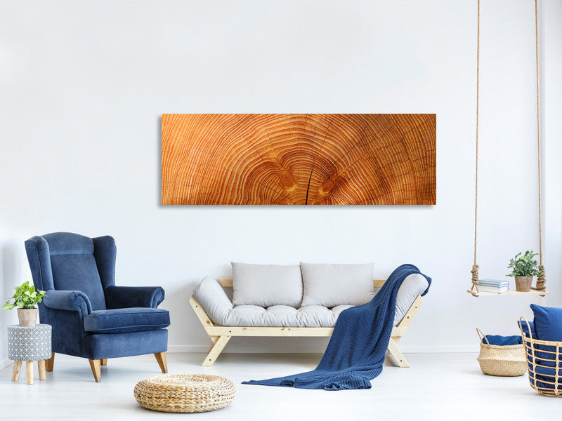 panoramic-canvas-print-tree-rings