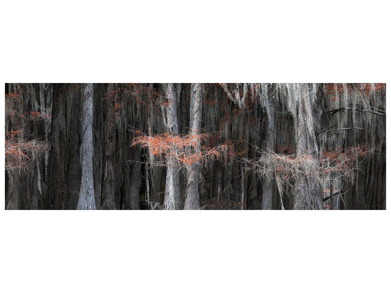 panoramic-canvas-print-untitled-xlviii