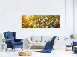 panoramic-canvas-print-wonderland