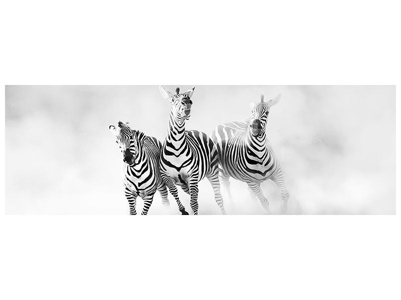 panoramic-canvas-print-zebras