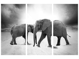 3-piece-canvas-print-2-elephants-sw