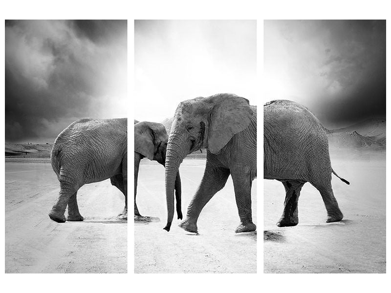 3-piece-canvas-print-2-elephants-sw