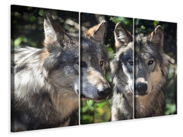 3-piece-canvas-print-2-wolves