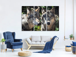 3-piece-canvas-print-2-wolves