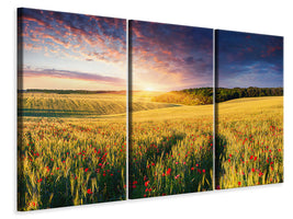 3-piece-canvas-print-a-flower-field-at-sunrise