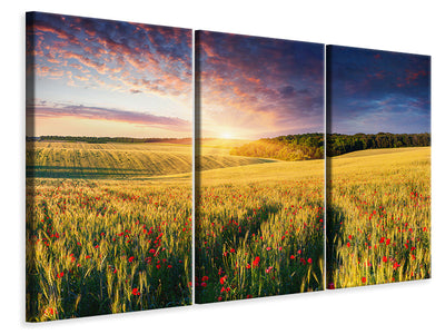 3-piece-canvas-print-a-flower-field-at-sunrise