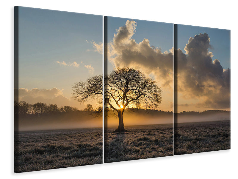 3-piece-canvas-print-a-lonely-tree