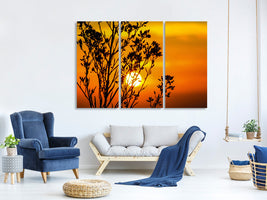 3-piece-canvas-print-a-shrub-in-the-sunset