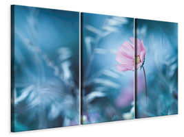 3-piece-canvas-print-a-walk-in-dreamland