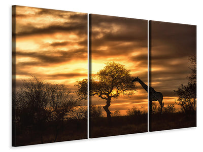 3-piece-canvas-print-african-dreams