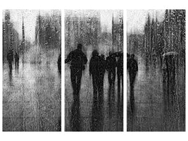 3-piece-canvas-print-after-the-rain