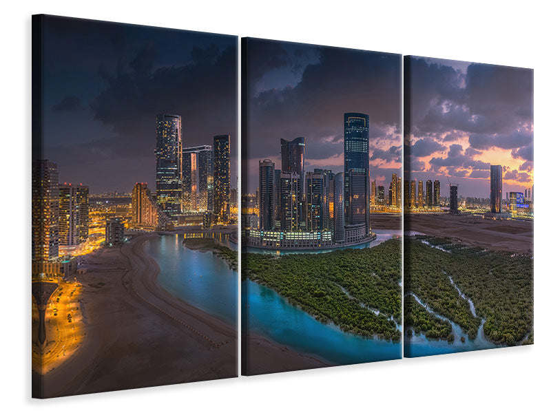 3-piece-canvas-print-al-reem-mangroves