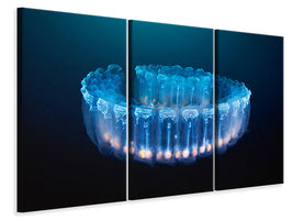 3-piece-canvas-print-alien-lamp-pegea-confoederata