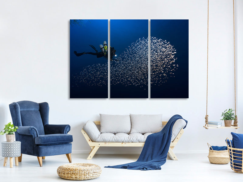 3-piece-canvas-print-alvin-shoal