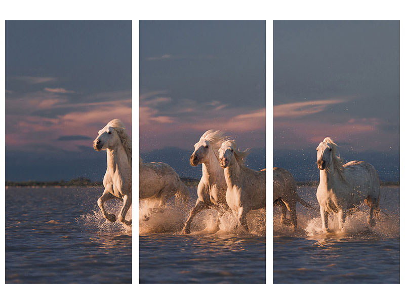 3-piece-canvas-print-angels-of-camargue