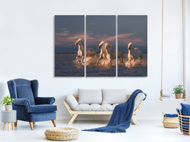 3-piece-canvas-print-angels-of-camargue