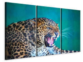 3-piece-canvas-print-attention-leopard