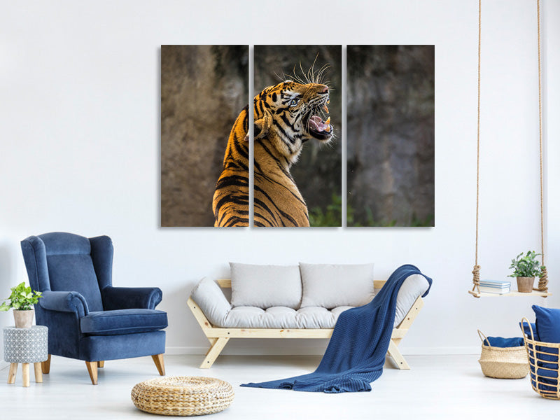 3-piece-canvas-print-attention-tiger