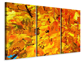 3-piece-canvas-print-autumn-leaves-ii