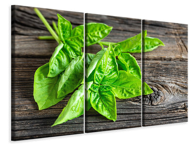 3-piece-canvas-print-basil-leaves-ii