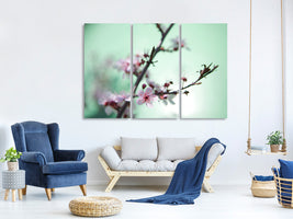 3-piece-canvas-print-beautiful-japanese-cherry-blossom