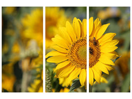 3-piece-canvas-print-bees-at-work