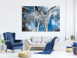 3-piece-canvas-print-birch-crowns