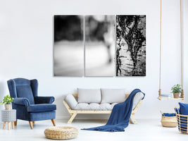 3-piece-canvas-print-birch-trunk