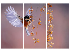 3-piece-canvas-print-bird-in-action