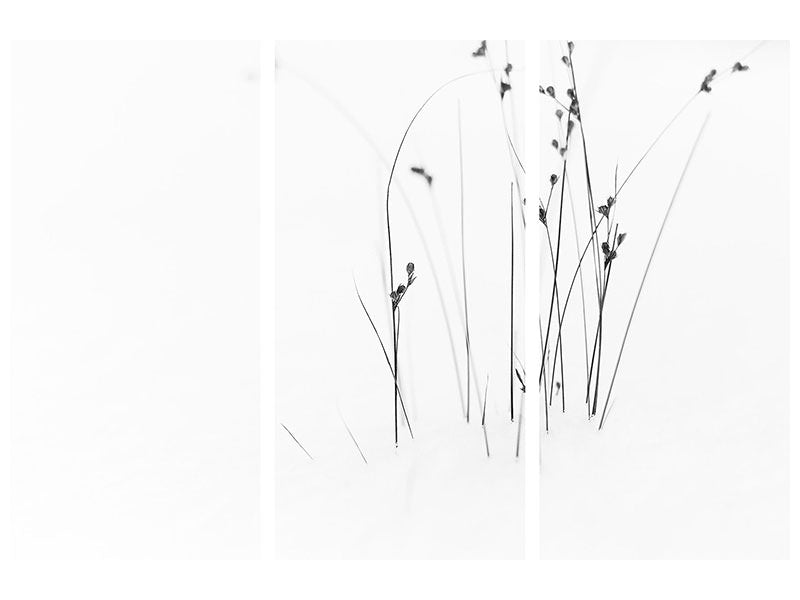 3-piece-canvas-print-black-on-white