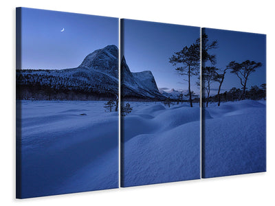 3-piece-canvas-print-blue-iii