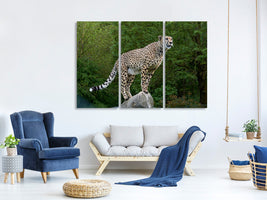 3-piece-canvas-print-cheetah-on-the-go