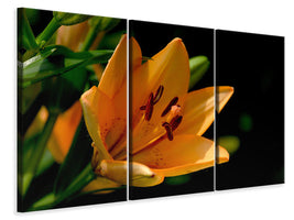 3-piece-canvas-print-close-up-lily-in-orange