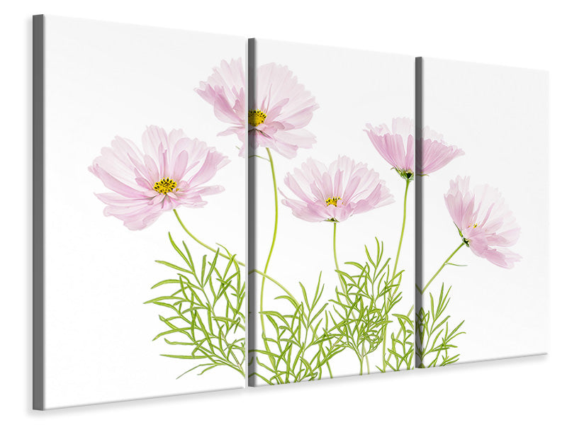 3-piece-canvas-print-cosmos-cupcake