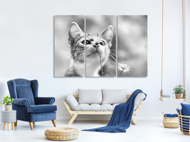 3-piece-canvas-print-curious