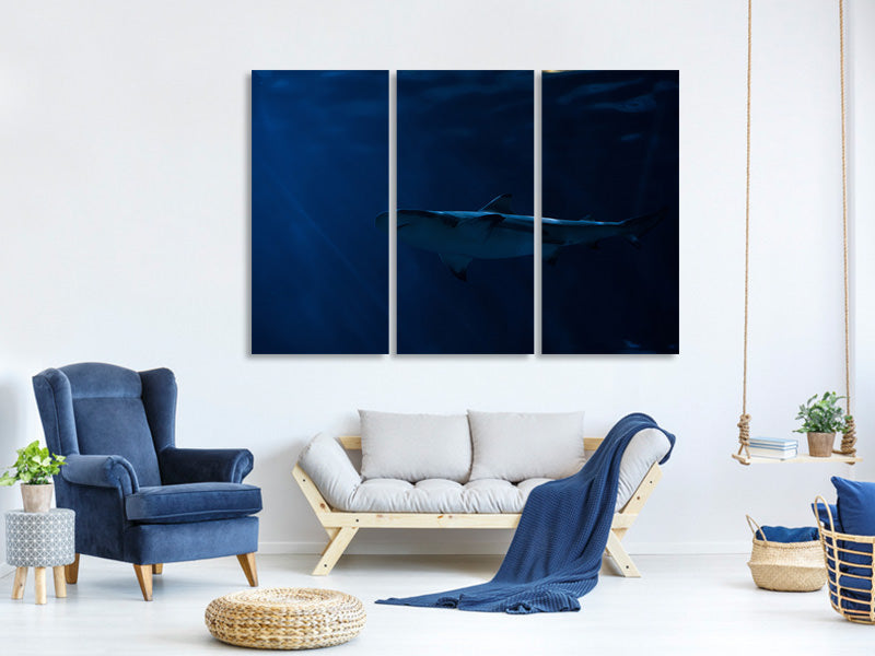 3-piece-canvas-print-dangerous-shark