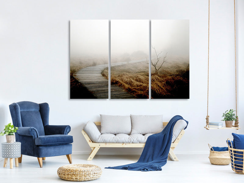 3-piece-canvas-print-dense-fog