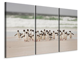 3-piece-canvas-print-desembarco