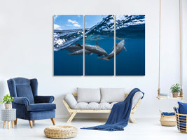 3-piece-canvas-print-dolphins