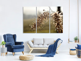 3-piece-canvas-print-drops-of-nature