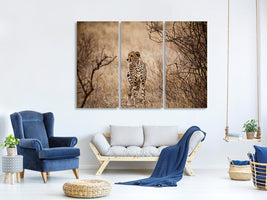 3-piece-canvas-print-elegant-cheetah