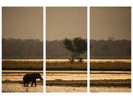 3-piece-canvas-print-elephant-alone-in-the-steppe