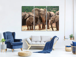 3-piece-canvas-print-elephant-herd-in-africa