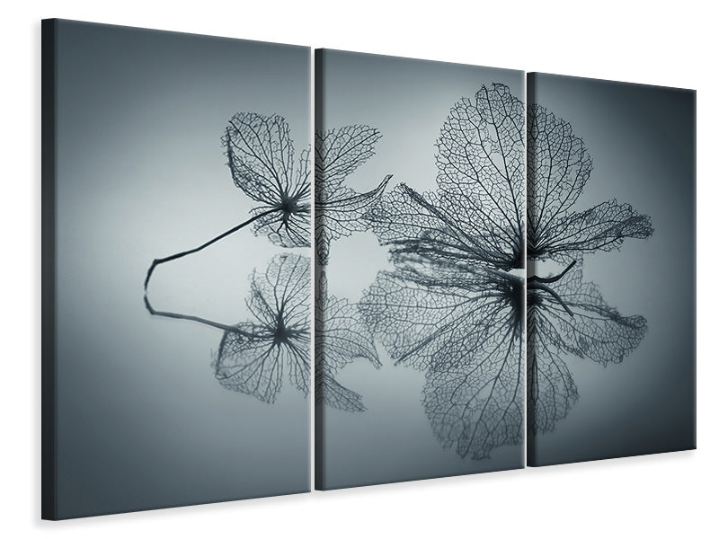 3-piece-canvas-print-ephemeral-beauty