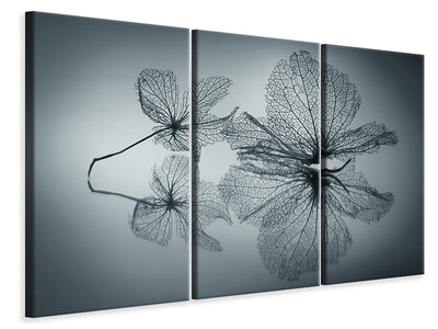 3-piece-canvas-print-ephemeral-beauty