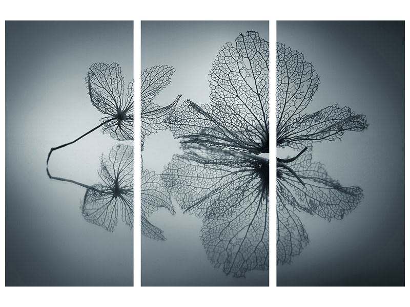 3-piece-canvas-print-ephemeral-beauty