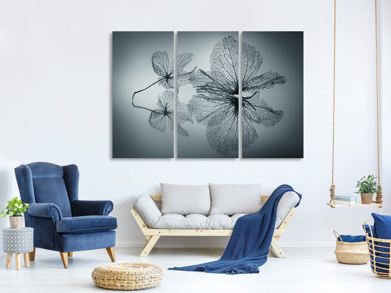 3-piece-canvas-print-ephemeral-beauty