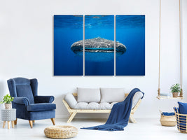 3-piece-canvas-print-face-to-face-with-a-whale-shark