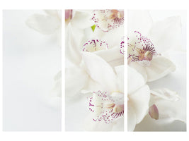 3-piece-canvas-print-fantastic-orchids