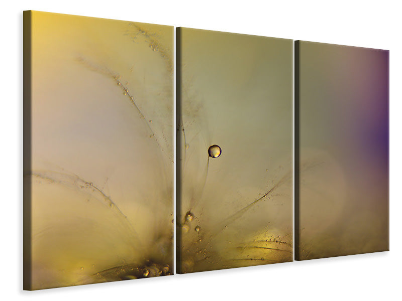 3-piece-canvas-print-feeling-of-a-new-day